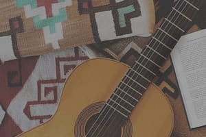 Guitar on SW Fabric